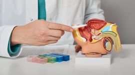 Discussing sexual dysfunctions with an urologist